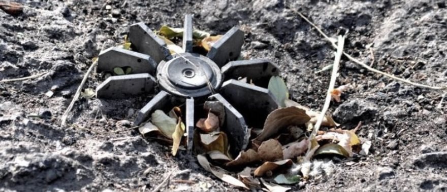 1455257513_1-2-960x467